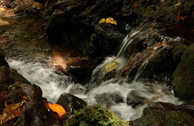 Similar image 8165053