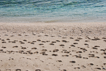 Similar image 8165054