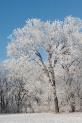 Similar image 8165059