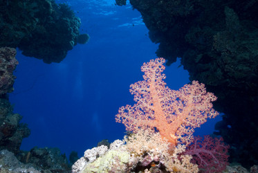 Similar image 8165062