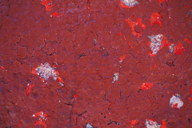 Similar image 8165068