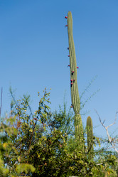 Similar image 8165069