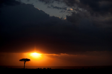 Similar image 8165074