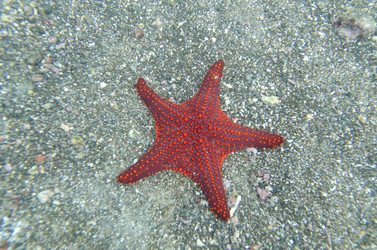 Similar image 8165075