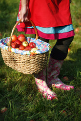 Similar image 8165076