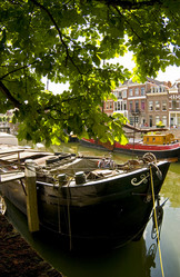 Similar image 8165081