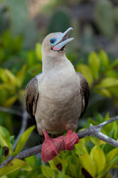 Similar image 8165086