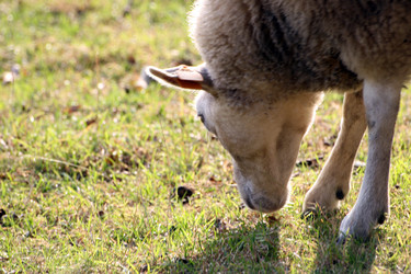 Similar image 8165088