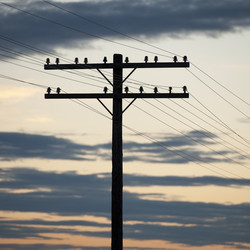 Similar image 8165092