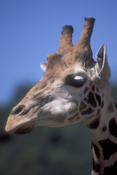 Similar image 8165094