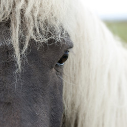 Similar image 8165099