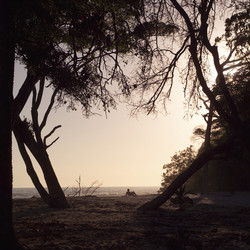 Similar image 8165103