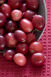 Similar image 8165105