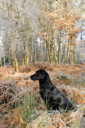 Similar image 8165118