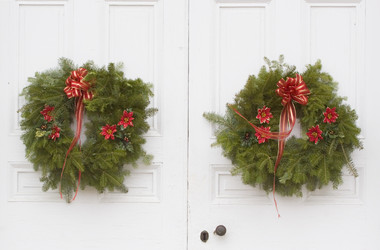 Similar image 8165119