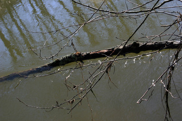 Similar image 8165134