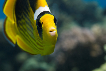 Similar image 8165136