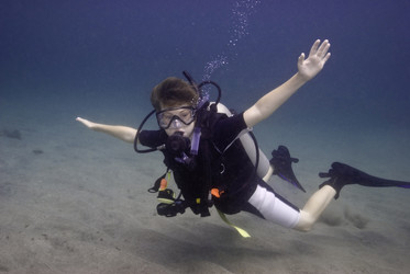 Similar image 8165145