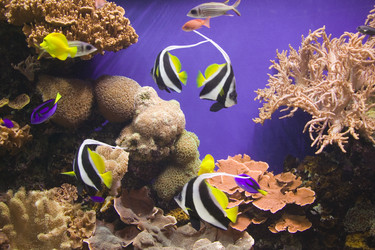 Similar image 8165150