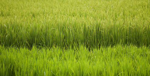 Similar image 8165155