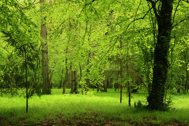 Similar image 8165161