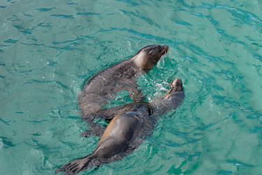 Similar image 8165166