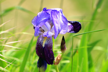 Similar image 8165167