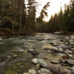 Similar image 8165176