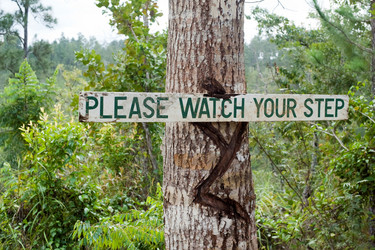 Similar image 8165177