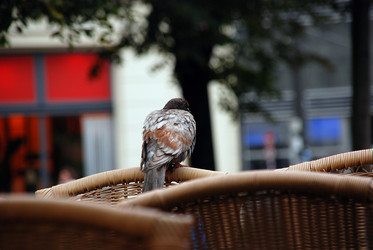 Similar image 8165192