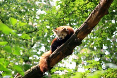 Similar image 8165194