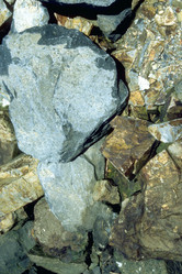 Similar image 8165196