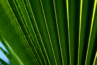 Similar image 8165203