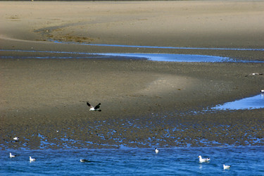 Similar image 8165211