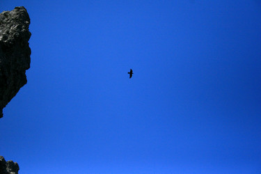 Similar image 8165212