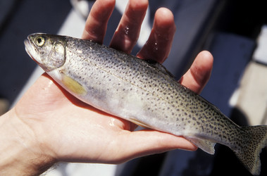 Similar image 8165213