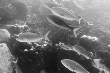 Similar image 8165215