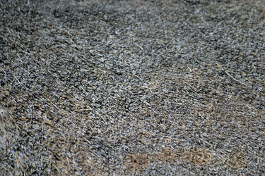 Similar image 8165220