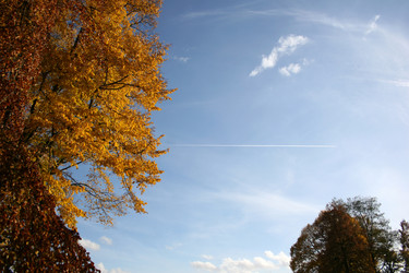 Similar image 8165221