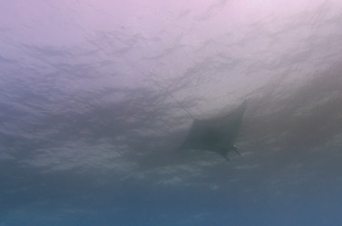 Similar image 8165224