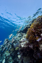 Similar image 8165226