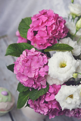 Similar image 8165230