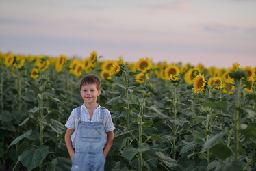 Similar image 8165232