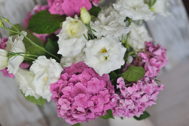 Similar image 8165235