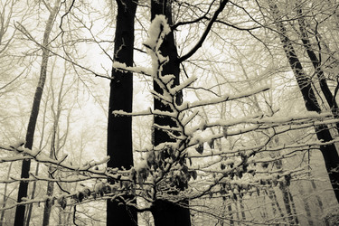 Similar image 8165244