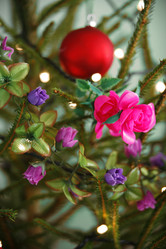 Similar image 8165246