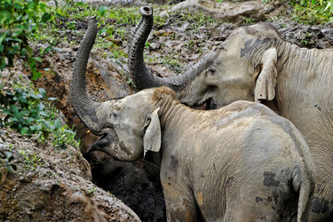 Similar image 8165253