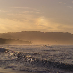 Similar image 8165256