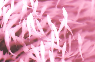 Similar image 8165259