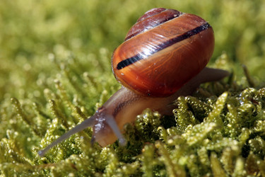 Similar image 8165263